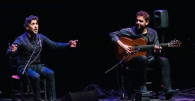 flamenco show
