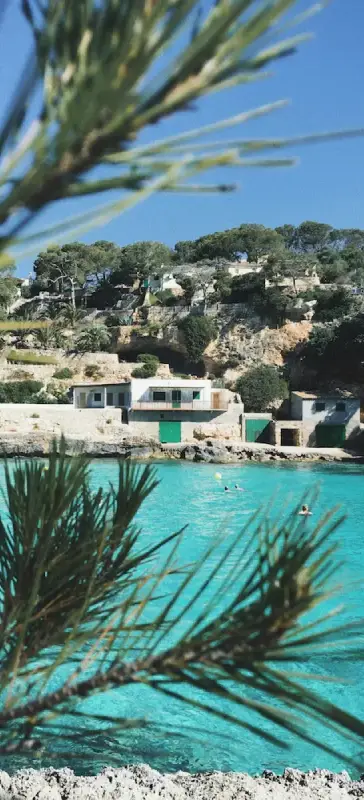 dmc mallorca